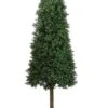5.5′ Cone-Shaped Boxwood Topiary In Plastic Pot Two Tone Green