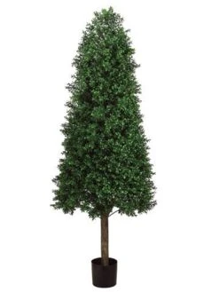 5.5′ Cone-Shaped Boxwood Topiary In Plastic Pot Two Tone Green