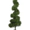 5.5′ Spiral Boxwood Topiary in Plastic Pot Two Tone Green