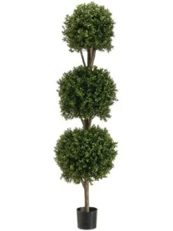 5′ Triple Ball-Shaped Boxwood Topiary In Plastic Pot Two Tone Green