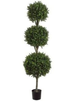 6′ Triple Ball-Shaped Boxwood Topiary In Plastic Pot Two Tone Green