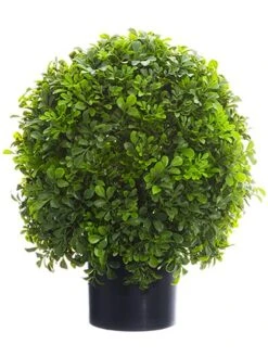 16″ Boxwood Ball Topiary In Nursery Pot Green