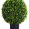22″ Boxwood Ball Topiary In Nursery Pot Green