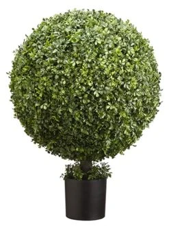 36″H X 23″D Boxwood Ball Topiary in Nursery Pot Green