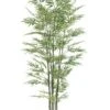 6′ Bamboo Tree X7 With 1680 Leaves In Pot 