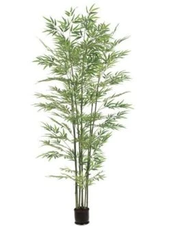 6′ Bamboo Tree X7 With 1680 Leaves In Pot 