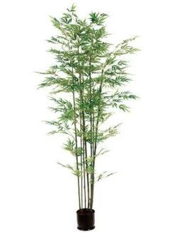 7′ Bamboo Tree X7 With 1980 Leaves In Pot 