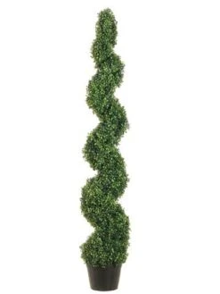 5′ Knock-Down Pond Boxwood Spiral Topiary In Plastic Pot Green