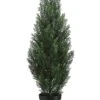 36″ Cedar Topiary In Plastic Pot Green