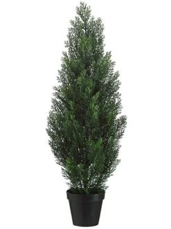36″ Cedar Topiary In Plastic Pot Green