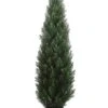 60″ Cedar Topiary In Plastic Pot (knock-down Packing) Green