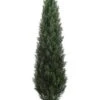 72″ Cedar Topiary In Plastic Pot (knock-down Packing) Green