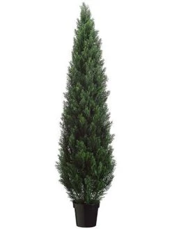72″ Cedar Topiary In Plastic Pot (knock-down Packing) Green