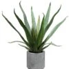 19″ Agave In Cement Pot Green