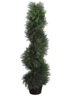 3′ Spiral Cedar Topiary In Plastic Pot Green