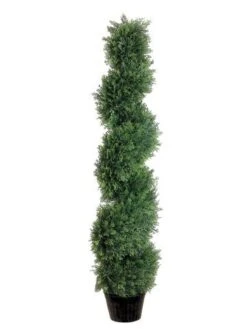 4′ Spiral Cedar Topiary In Plastic Pot Green