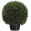 20″H X 18.5″W X 18.5″L Cedar Ball Topiary In Pot Green