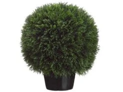 20″H X 18.5″W X 18.5″L Cedar Ball Topiary In Pot Green