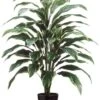 40″ Cordyline Plant X4 In Black Round Plastic Pot Green White