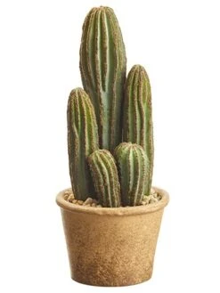 9.5″ Column Cactus In Paper Mache Pot Green