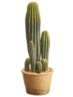 15.5″ Column Cactus In Paper Mache Pot Green