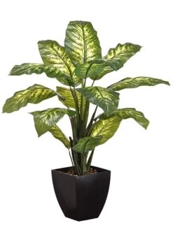 40″ Diffenbachia Plant In Plastic Pot Green Variegated