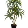 4′ Dracena Plant In Metal Pot Green Grey