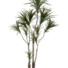 6′ Outdoor Dracaena Marginata Tree With 418 Leaves In Plastic Pot Green Burgundy