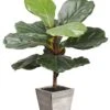 18.1″ Fiddle Leaf Tree In Wood Planter Green