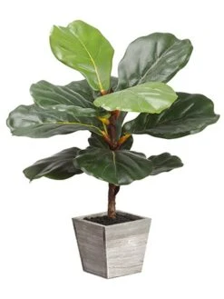18.1″ Fiddle Leaf Tree In Wood Planter Green