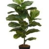 31.5″ Fiddle Leaf Plant In Pot Green