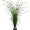 64″ Grass Bush In Black Plastic Pot Two Tone Green