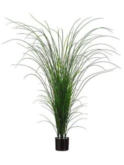 64″ Grass Bush In Black Plastic Pot Two Tone Green