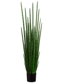 63″ Snake Plant With 31 Leaves In Plastic Pot Green