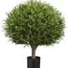 25.5″ Ball Shaped Lavender Leaf Topiary In Pot Green
