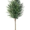6′ Olive Tree With 3200 Leaves In Pot Two Tone Green