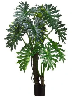 5′ EVA Plume Split Leaf Plant Green