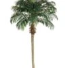8′ Phoenix Palm Tree In Rectangular Plastic Pot 