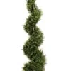 4′ Rosemary Spiral Topiary In Pot Green