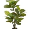 51″ Large Leaf Rubber Plant in Pot Green