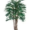 4′ Rhapis Tree X4 With 420 Leaves In Pot Two Tone Green