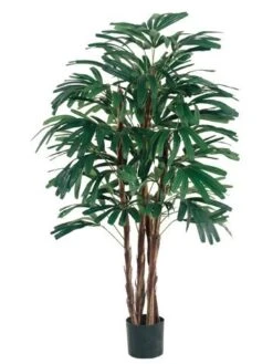 4′ Rhapis Tree X4 With 420 Leaves In Pot Two Tone Green