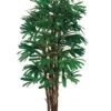 5′ Rhapis Tree X5 With 658 Leaves In Pot Two Tone Green