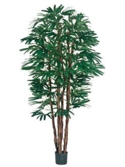 7′ Rhapis Tree X6 With 1148 Leaves In Pot Two Tone Green