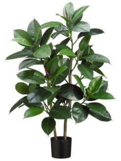 36″ Rubber Leaf Plant X2 With 75 Leaves In Pot Green