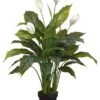 42″ Spathiphyllum Plant In Pot Green White