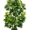 40″ EVA Schefflera In Black Plastic Pot Green