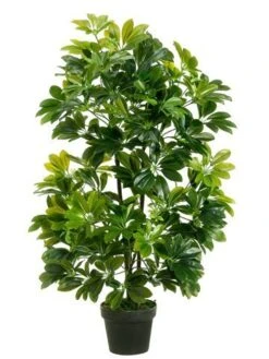 40″ EVA Schefflera In Black Plastic Pot Green