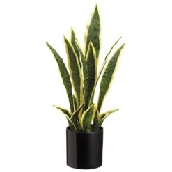 19″ Sansevieria In Black Pot Variegated