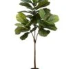 4.5′ Fiddle Leaf Tree In Pot Green